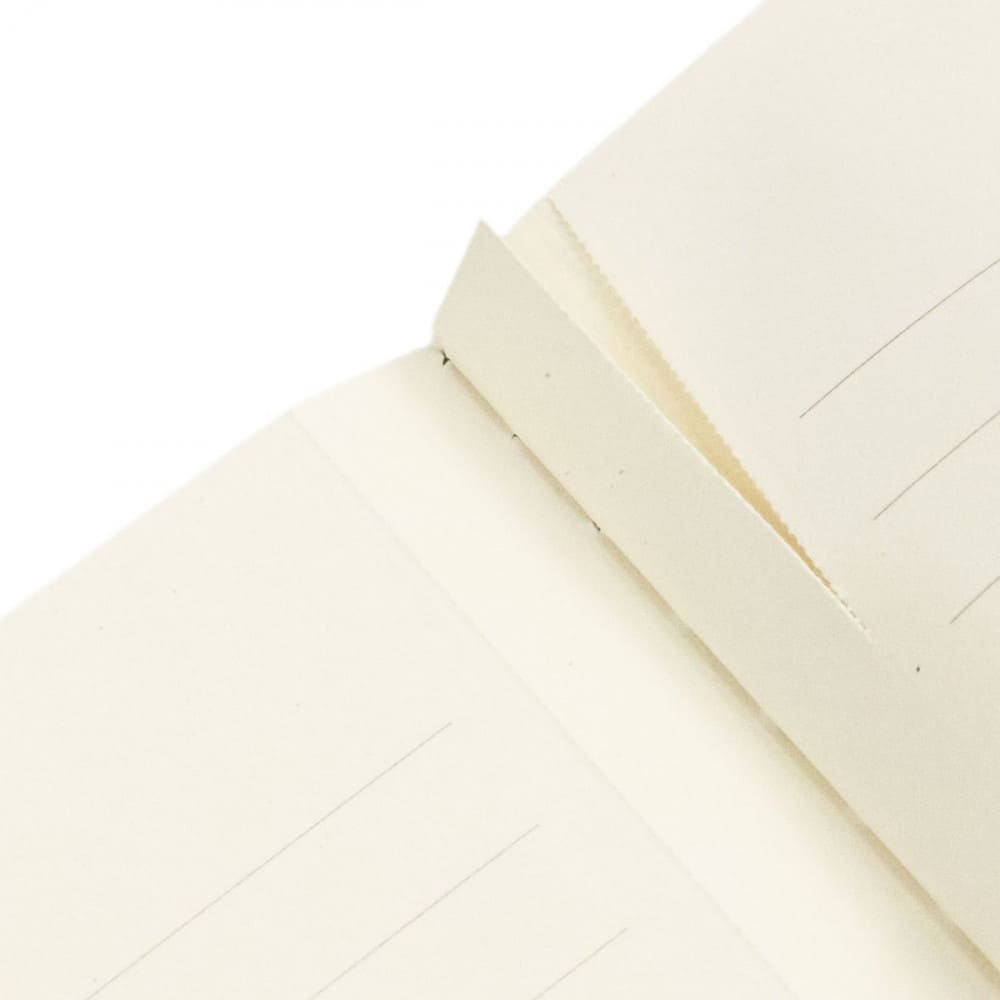 Paperblanks Cahiers Morris Windrush A5 Pautado