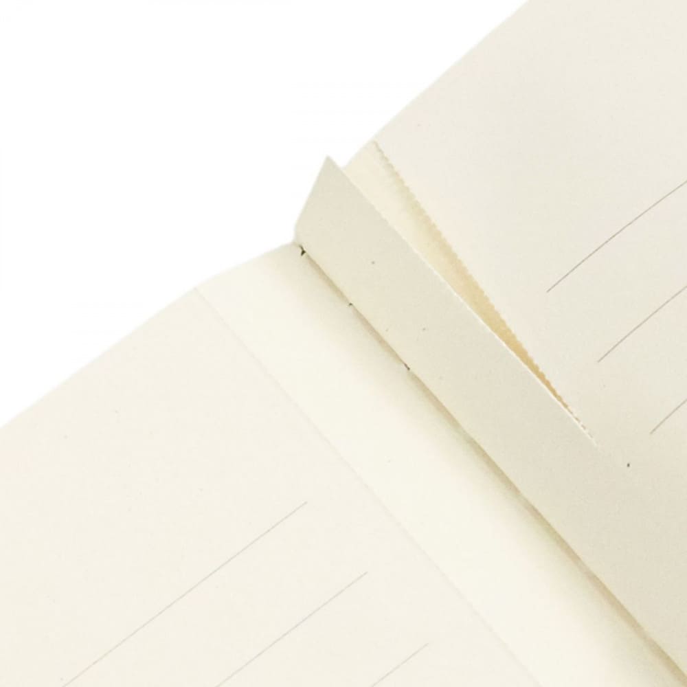 Paperblanks Cahiers Firebird A5 Pautado