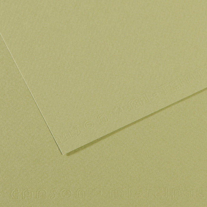 Papel Canson Mi-Teintes 480 50x65cm