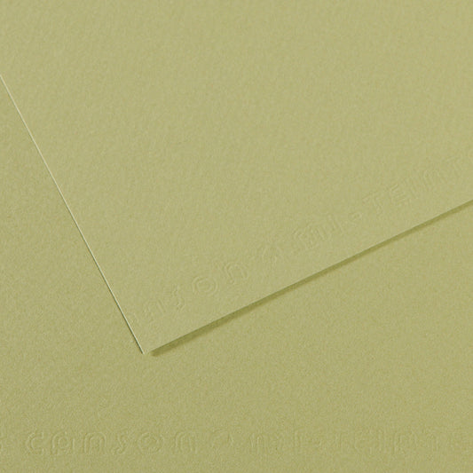 Papel Canson Mi-Teintes 480 50x65cm