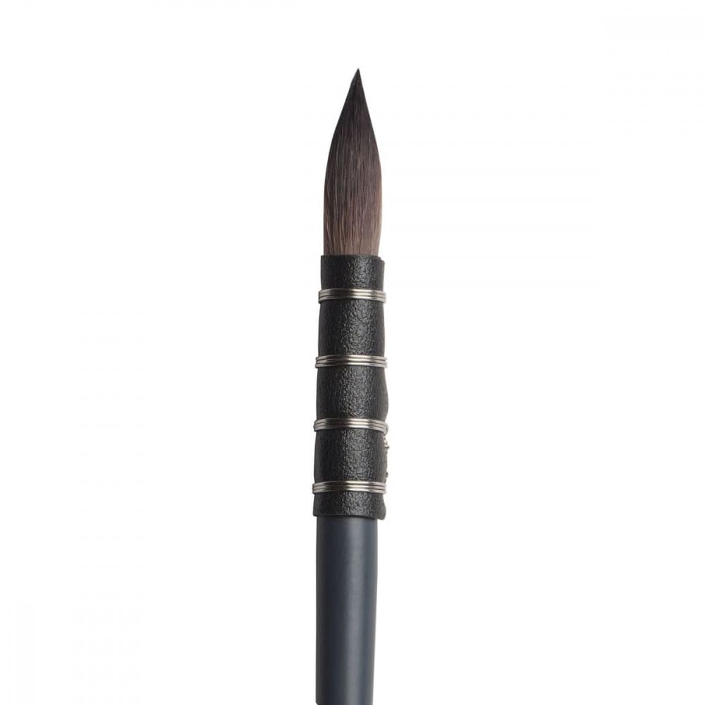Pincel Winsor & Newton Professional Watercolor Squirrel 1