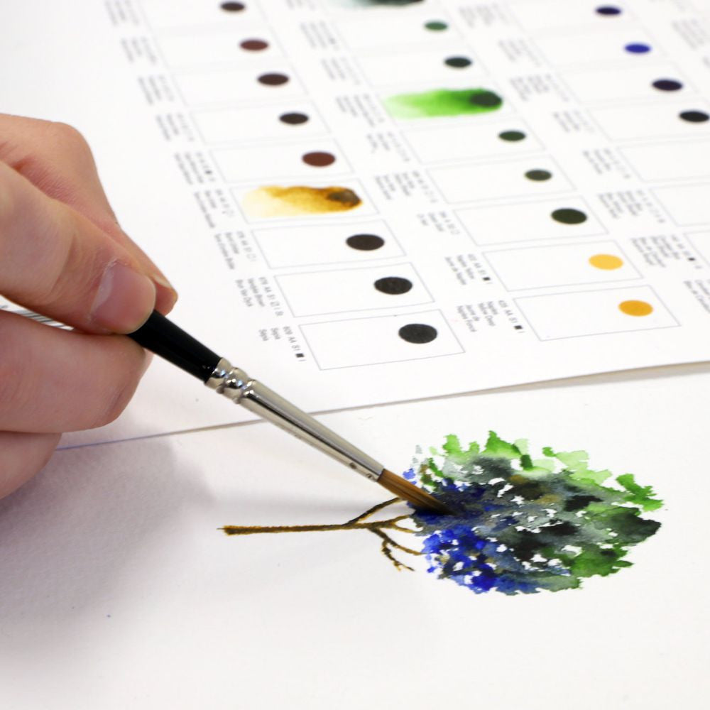 Cartela de Cores Aquarela Winsor & Newton Profissional