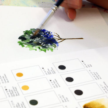 Cartela de Cores Aquarela Winsor & Newton Profissional