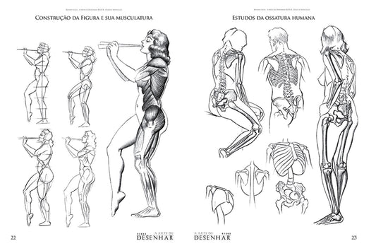 A Arte de Desenhar Ossos e Músculos - Renato Silva