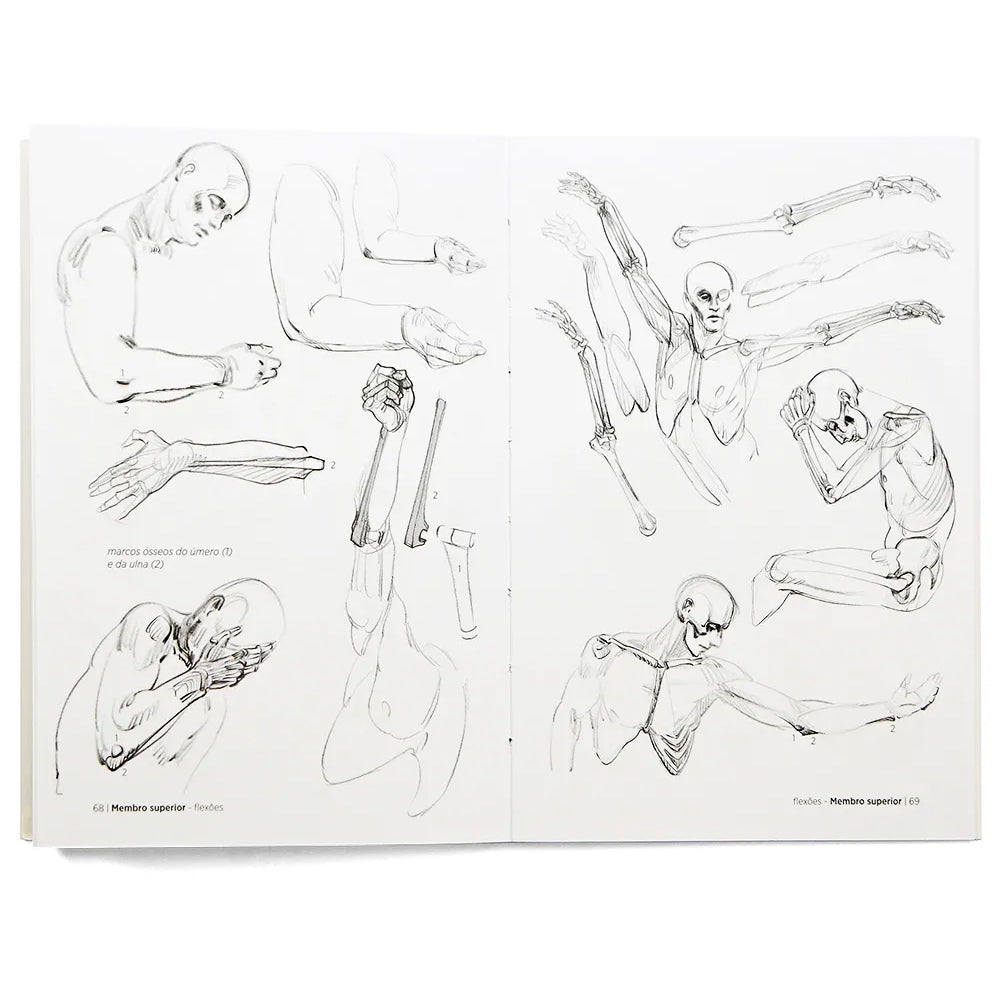 Anatomia Artística 3