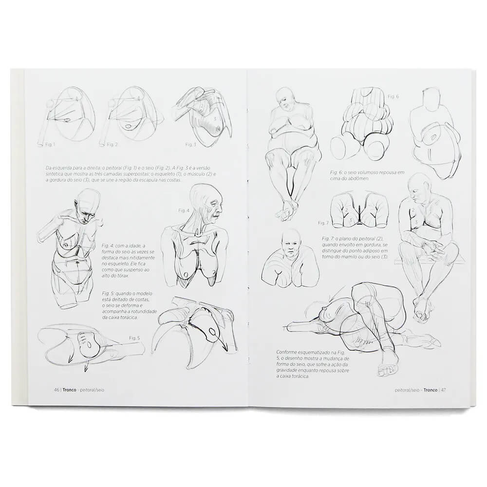 Livro Anatomia Artística