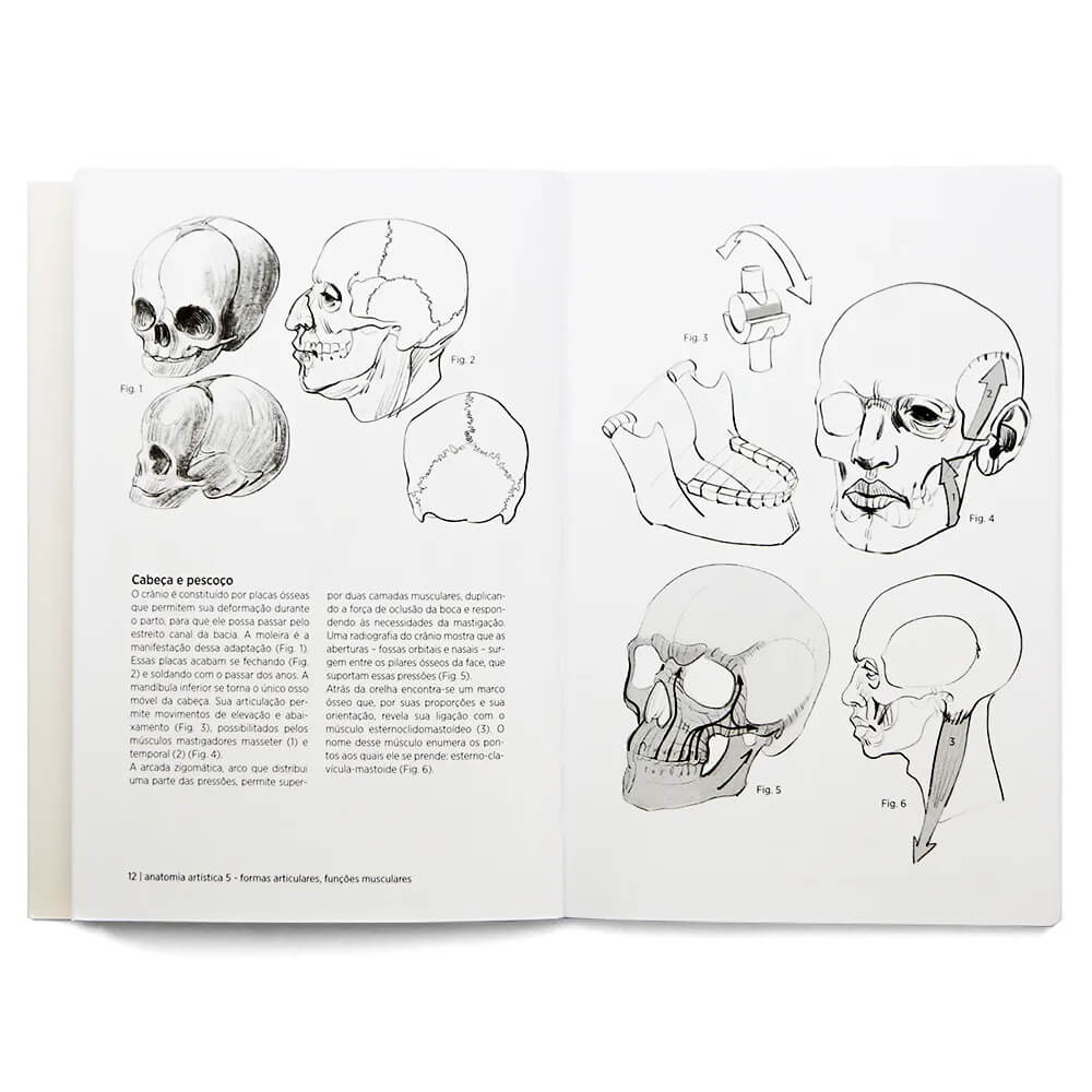 Anatomia Artística 5