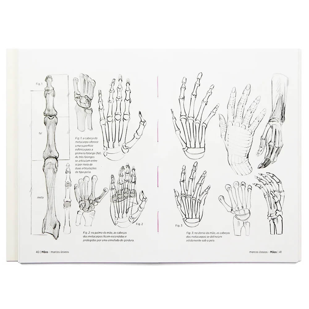 Anatomia Artística 6 - Michel Lauricella