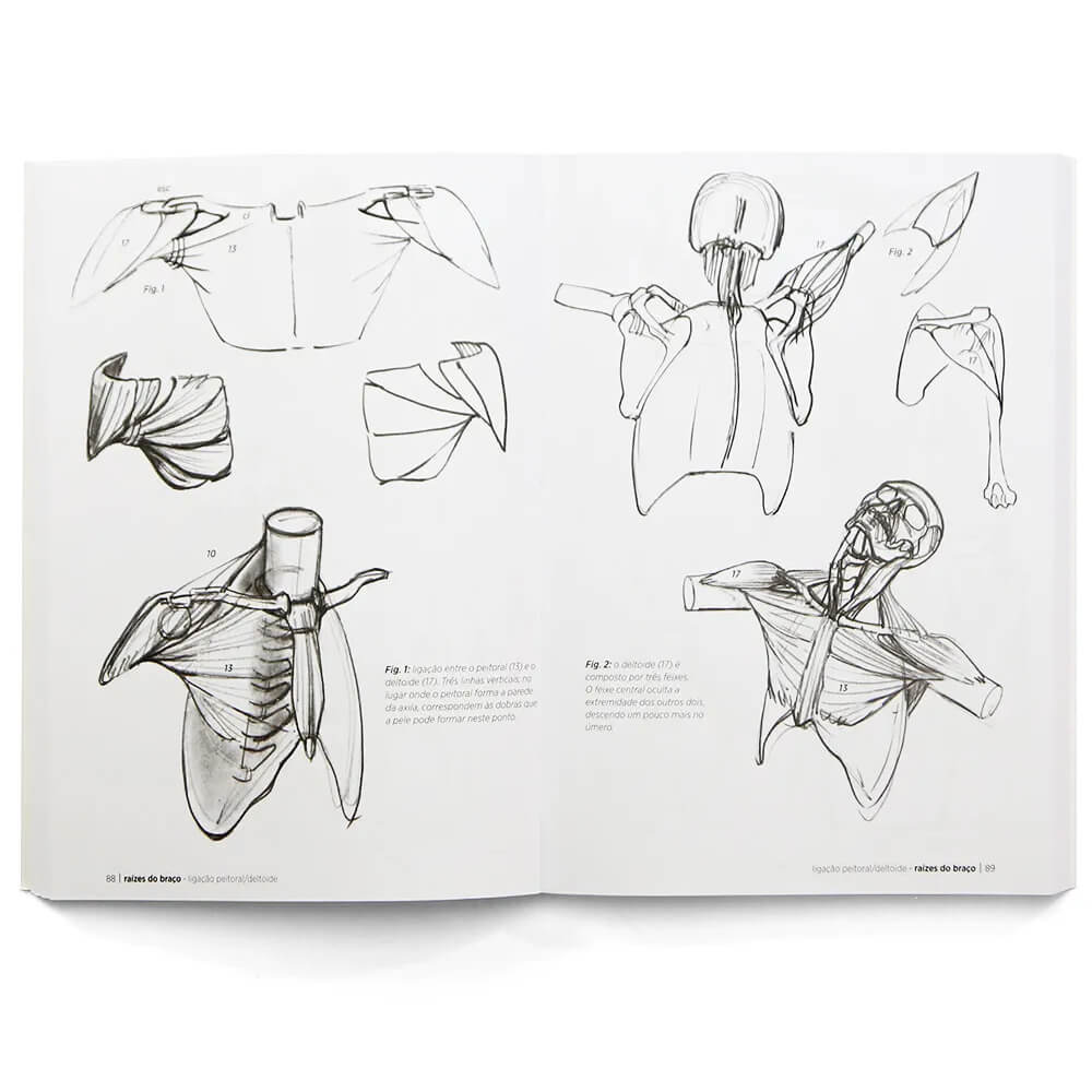 Anatomia Artística - Michel Lauricella