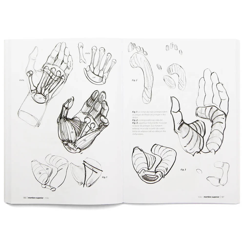 Anatomia Artística - Michel Lauricella