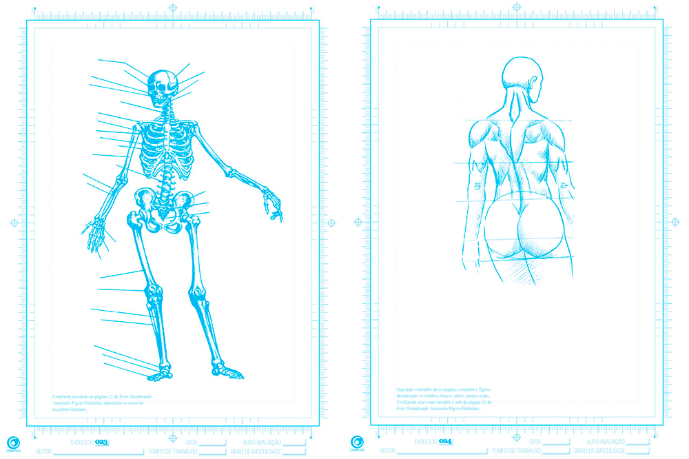 Caderno de Exercícios Desenhando Anatomia