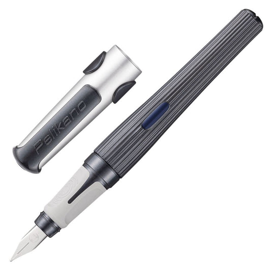 Caneta Tinteiro Pelikan Structure