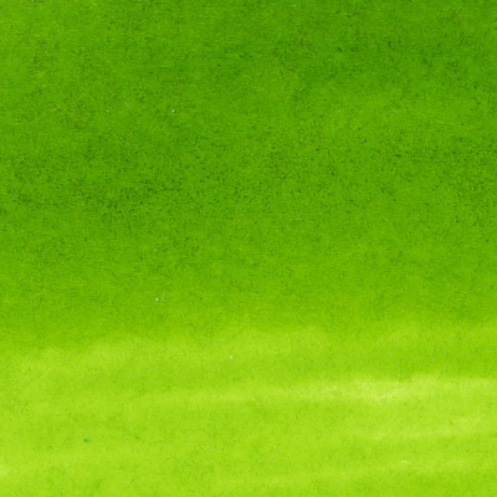 Caneta Pincel Kuretake Zig Clean Color Real Brush Leaf Green 410