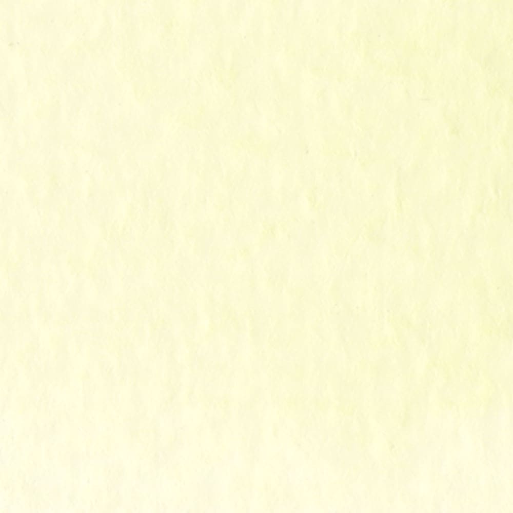 Caneta Pincel Kuretake Zig Clean Color Real Brush Pale Lemon 506