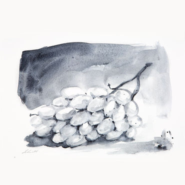 Conjunto Carvão Líquido Kohle Schmincke 5ml