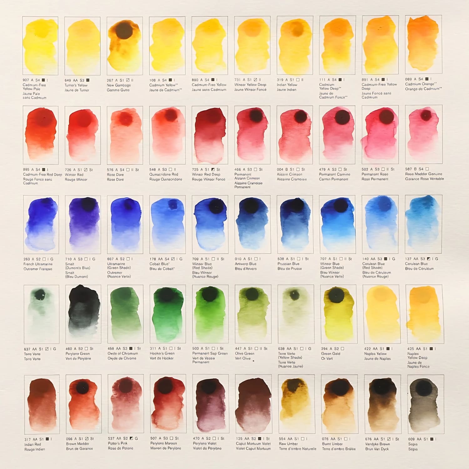 Colour Chart Aquarela Profissional Winsor Newton