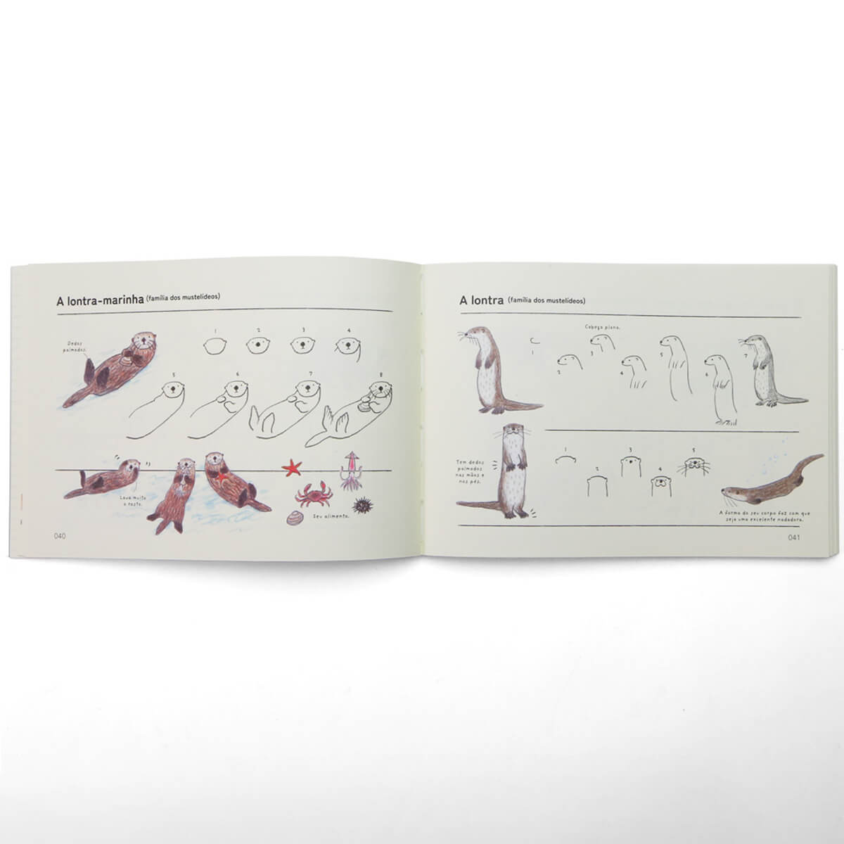 Como Desenhar Animais - Editora Olhares - Ai Akikusa
