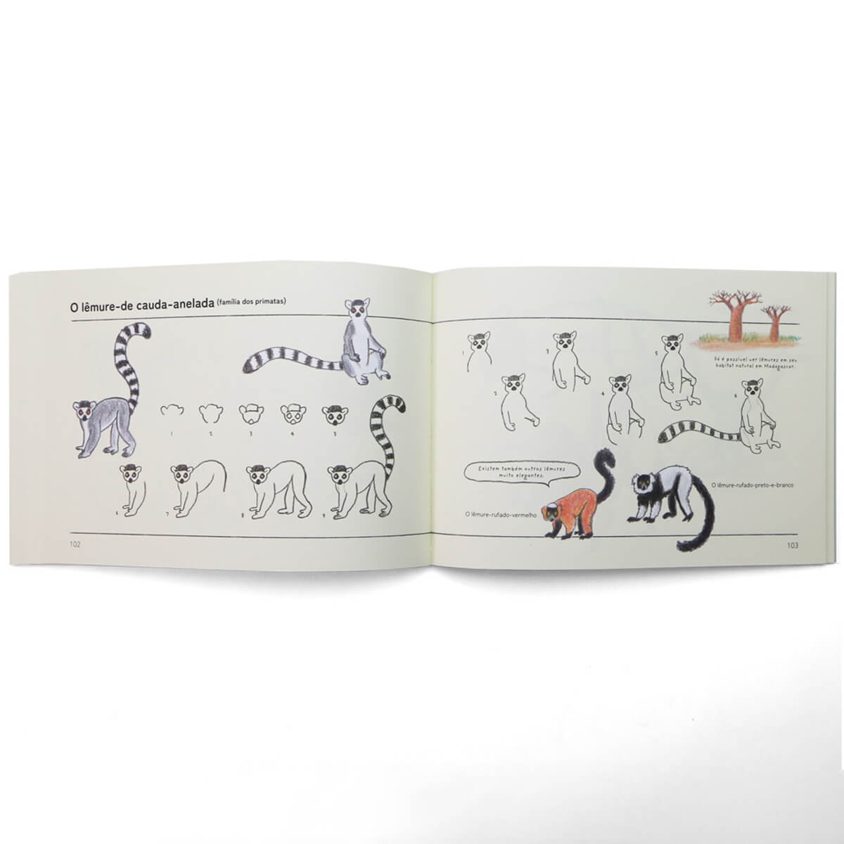 Como Desenhar Animais - Editora Olhares - Ai Akikusa