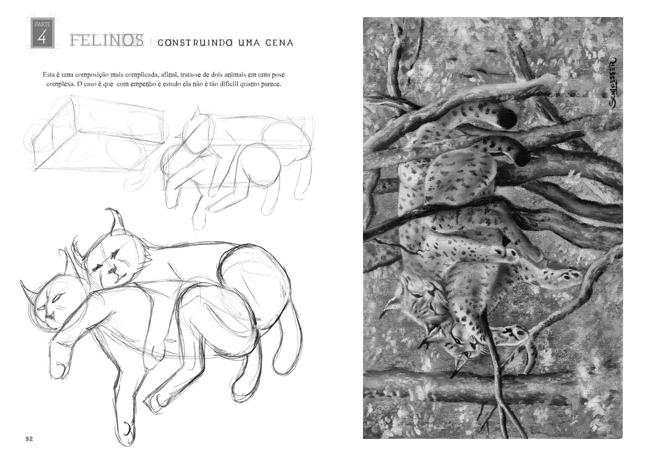 Desenhando Anatomia Animais