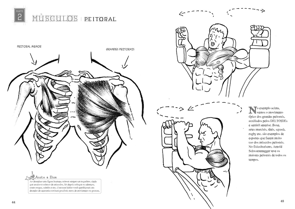 Desenhando Anatomia Figura Humana - Eduardo Schloesser
