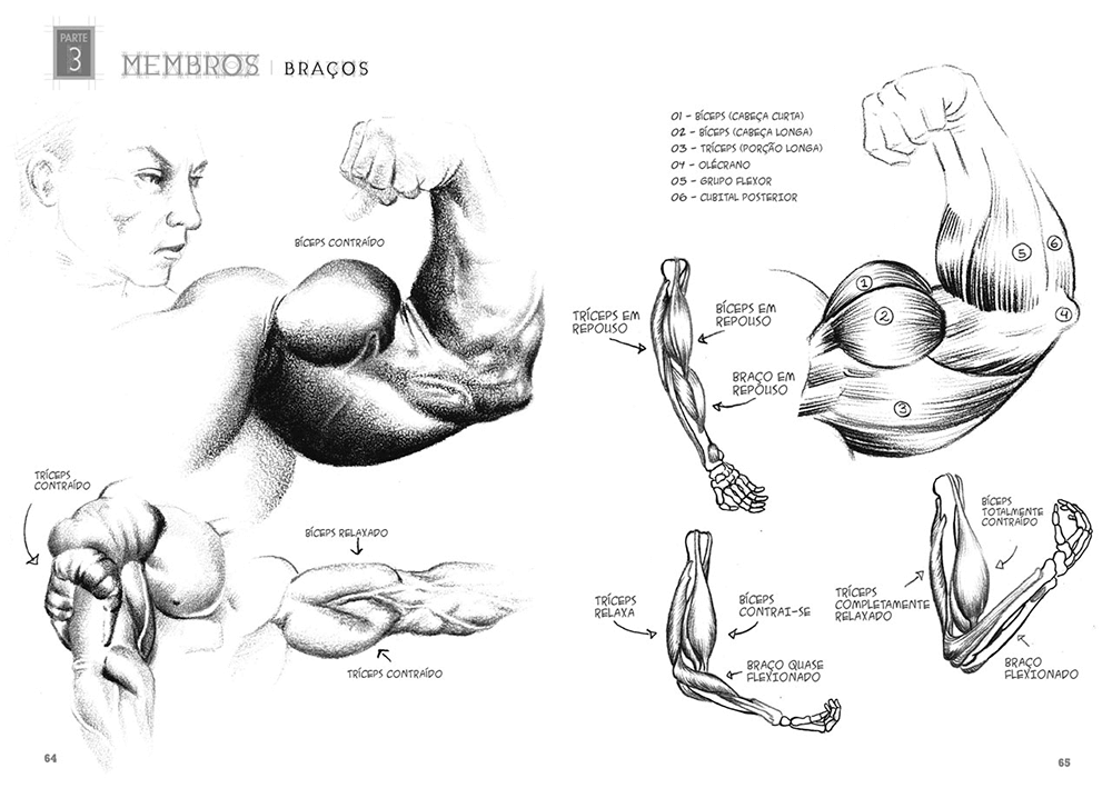 Desenhando Anatomia Figura Humana - Eduardo Schloesser