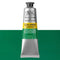 484 Permanent Green Middle