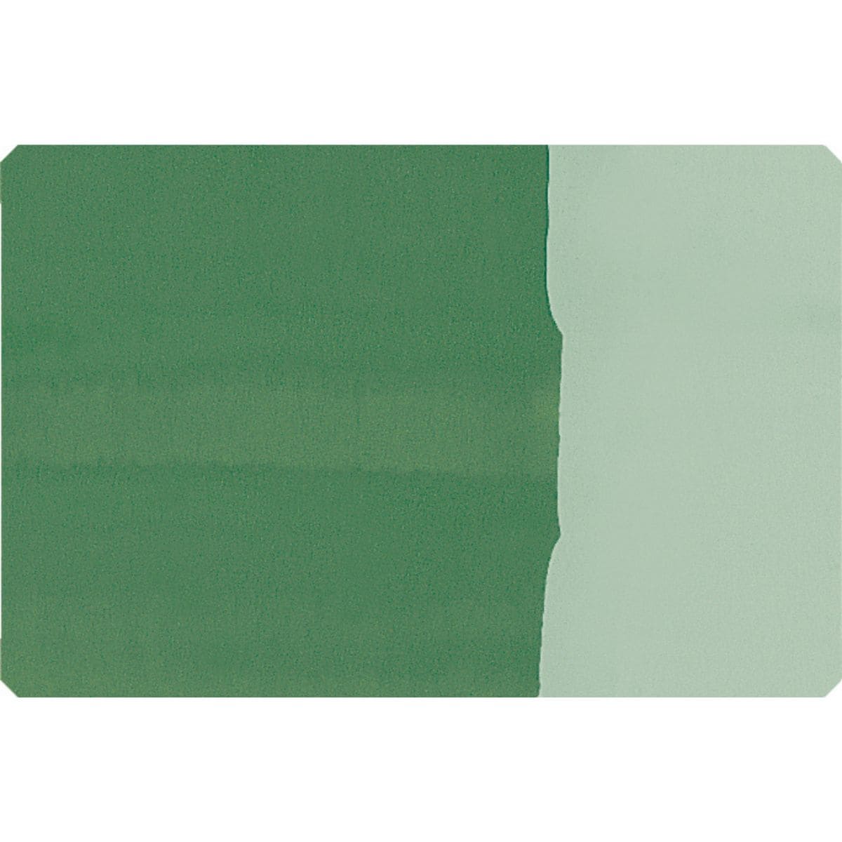 Pigmento em Pó Schmincke 100ml S2 505 Chromium Oxide Green