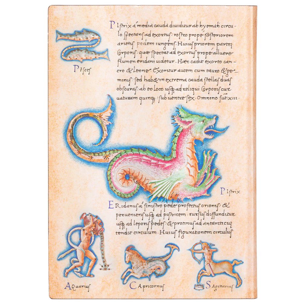 Paperblanks Flexis Astronomica Midi Pautado