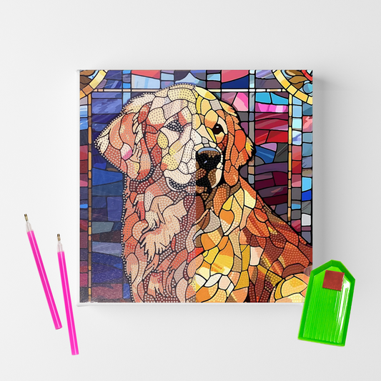 Conjunto Pintura Diamante Sinoart 30X30cm Golden