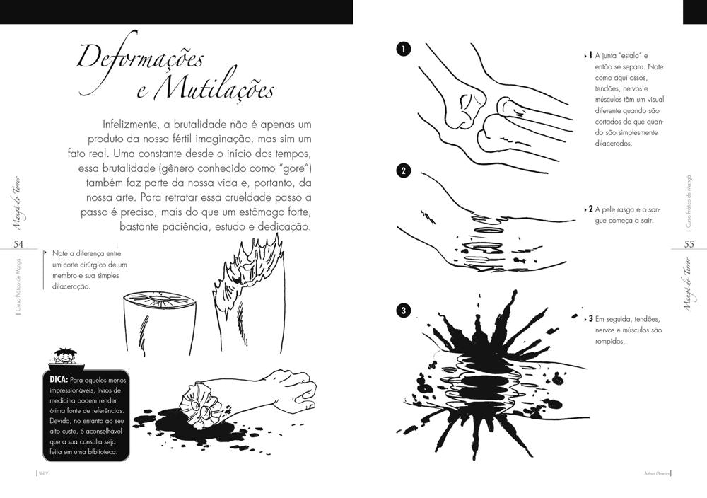 Curso Prático de Mangá Passo a Passo Vol. V