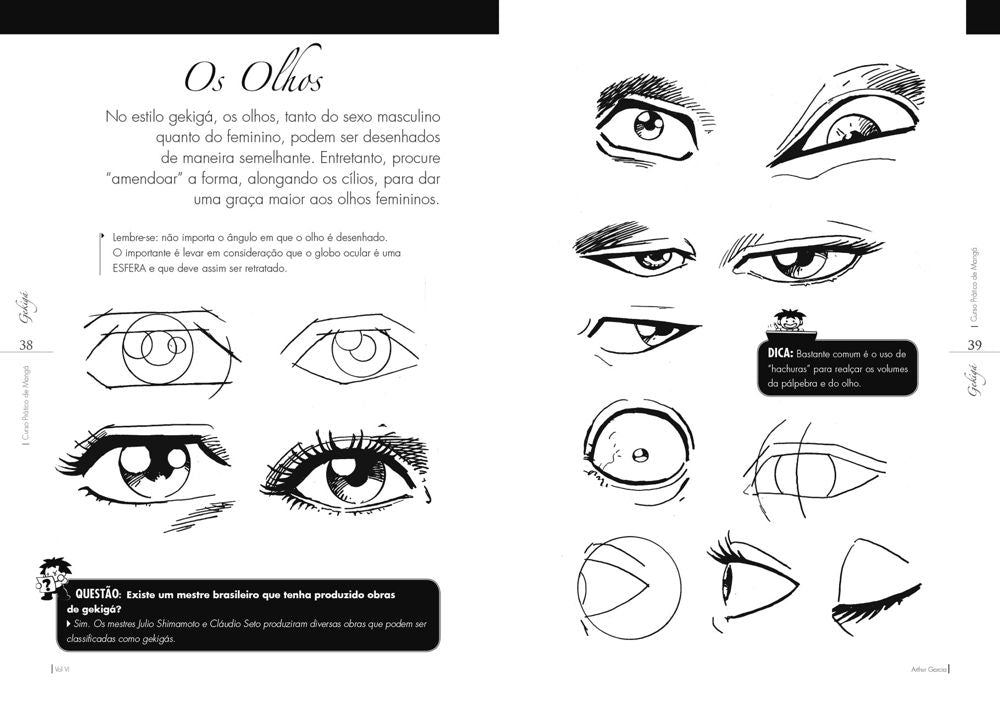Curso Prático de Mangá Passo a Passo Vol. VI