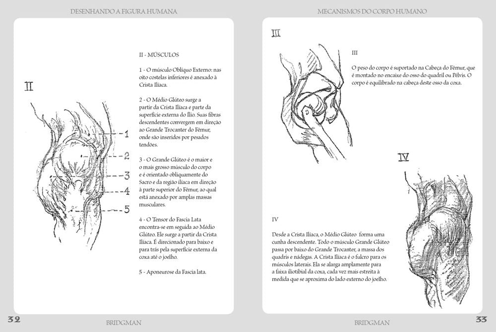 Desenhando a Figura Humana - Mecanismo do Corpo Humano