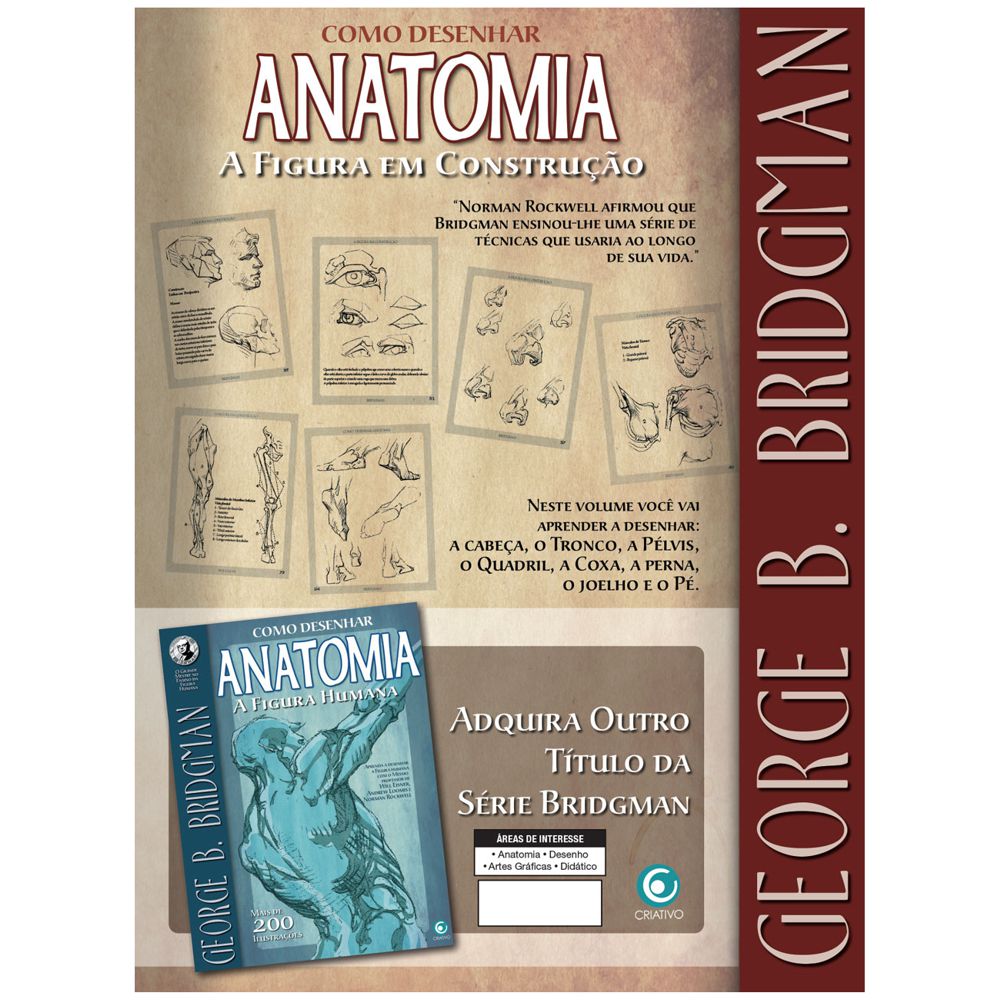 Como Desenhar Anatomia - A Figura em Construção