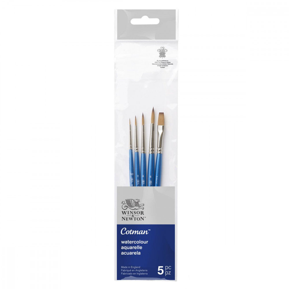 Kit Pincéis Winsor & Newton Cotman Aquarela 5 Unidades