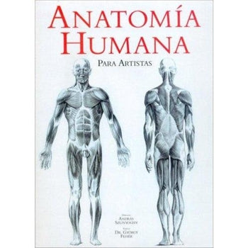 Anatomía Humana Para Artistas