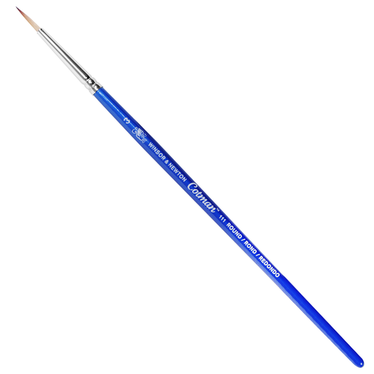 Pincel Cotman Winsor & Newton 111 3