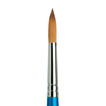 Pincel Cotman Winsor & Newton 111 10