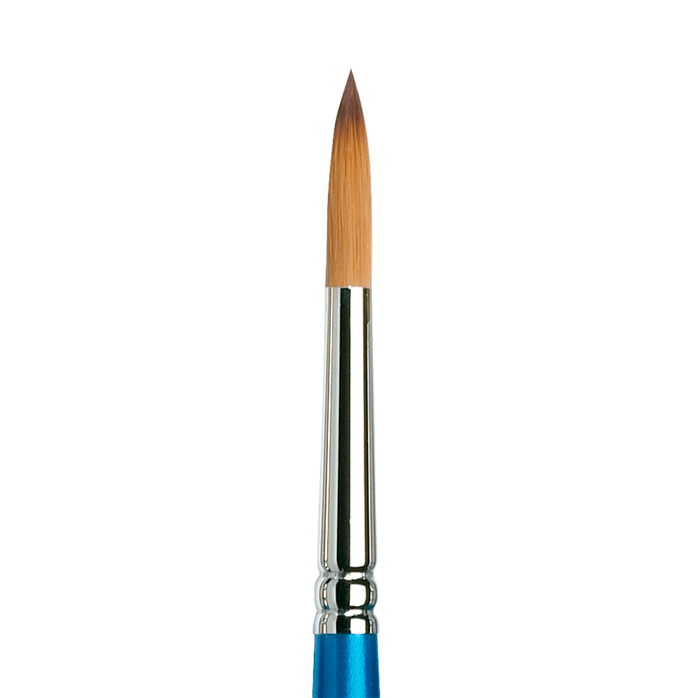 Pincel Cotman Winsor & Newton 111 8