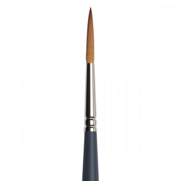 Pincel Winsor & Newton Professional Watercolor Filete 6