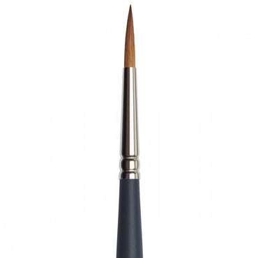 Pincel Winsor & Newton Professional Watercolor Redondo 6