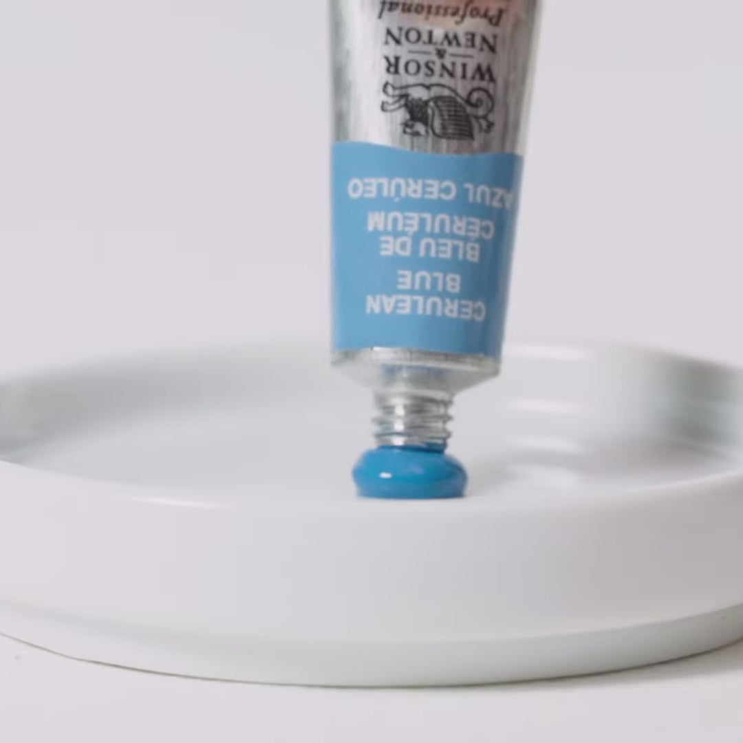 Tinta Aquarela Profissional Winsor Newton