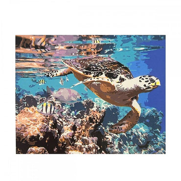 conjunto pintura numerada arte terapia 40x50cm tartaruga marinha