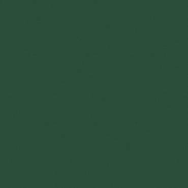 Tinta Acrílica Spray Liquitex 400ml 0224 Hooker's Green Hue