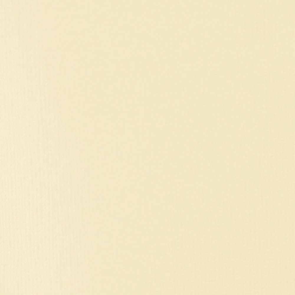 Tinta Acrílica Liquitex Basics Fluída 118ml Unbleached Titanium