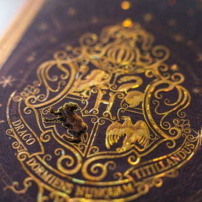 Paperblanks Harry Potter Lufa-Lufa Midi Capa Dura Pautado