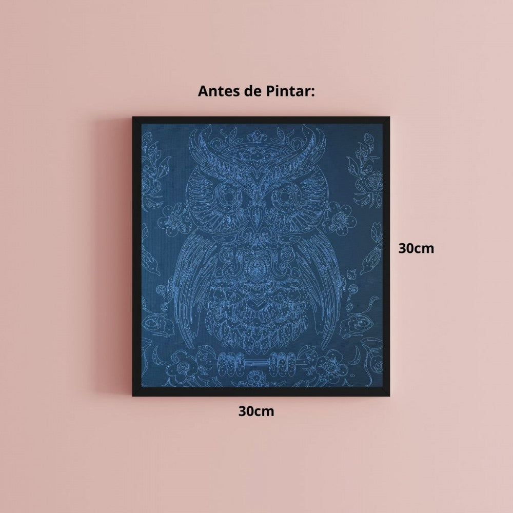 Conjunto Pintura Numerada Arte Terapia 30X30cm Coruja