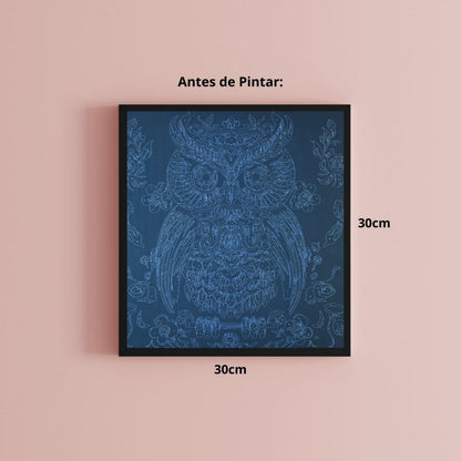 Conjunto Pintura Numerada Arte Terapia 30X30cm Coruja