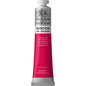 Tinta Óleo Winton 200ml Winsor & Newton