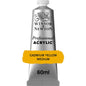 Tinta Acrílica Professional Winsor & Newton 60ml S3