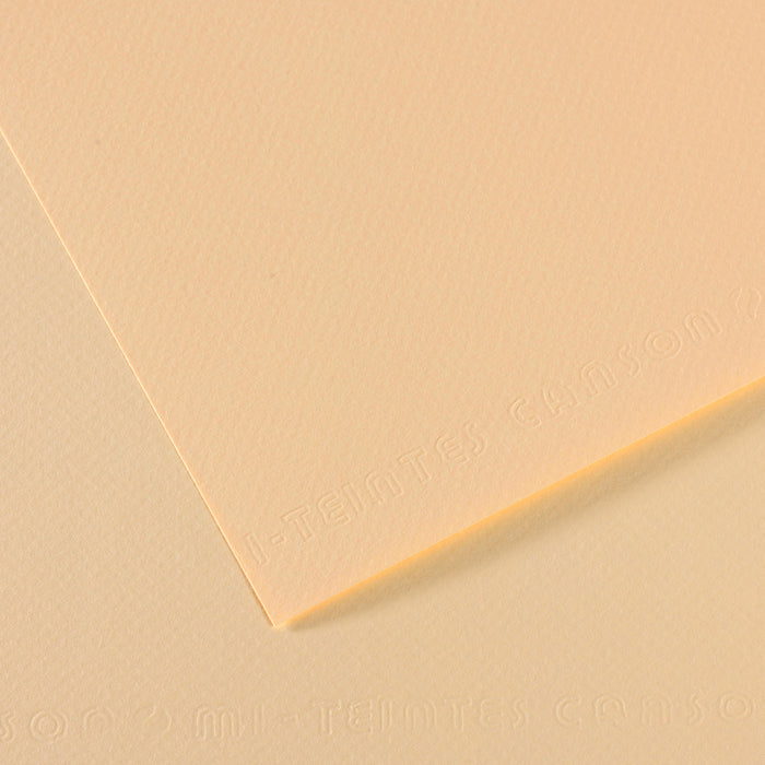 Papel Canson Mi-Teintes 111 50x65cm
